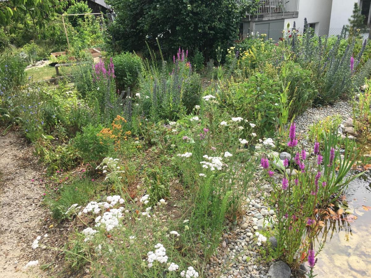 Ferienhaus Mit Naturgarten Dachsen Luaran gambar