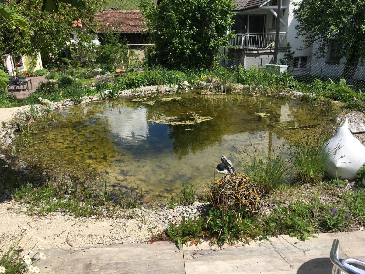 Ferienhaus Mit Naturgarten Dachsen Luaran gambar