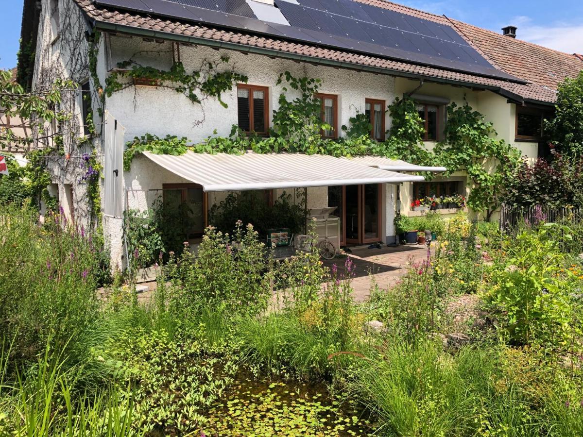 Ferienhaus Mit Naturgarten Dachsen Luaran gambar